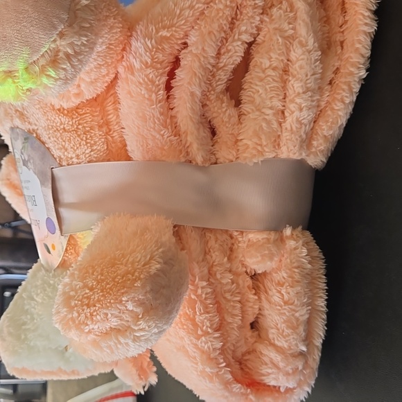 NWT Racoon Blanket - Picture 4 of 6